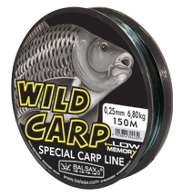 new Wild Carp